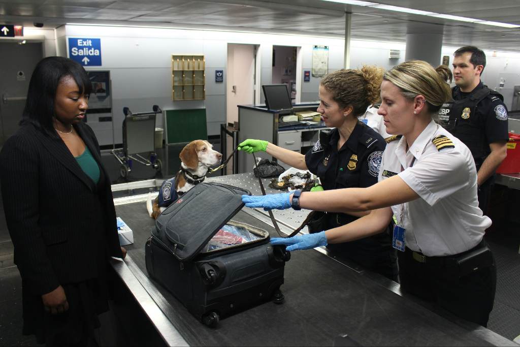 Can You Fly If You Have a Warrant? What TSA Might Check